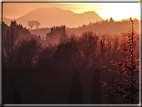 foto Tramonto a Bassano del Grappa